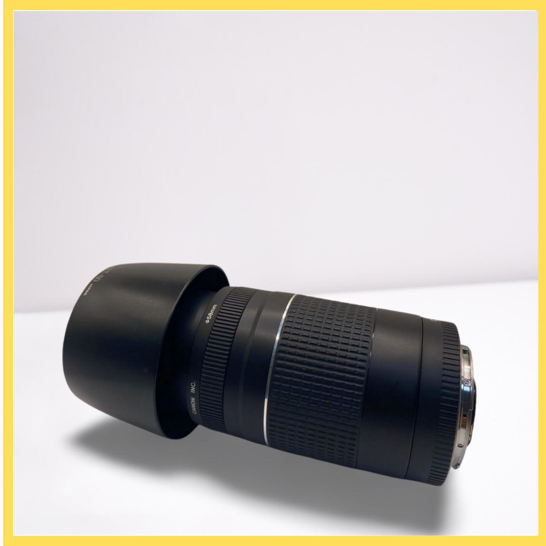 ⭐️美品⭐️Canon EF 75-300mm F4-5.6 III 望遠レンズ