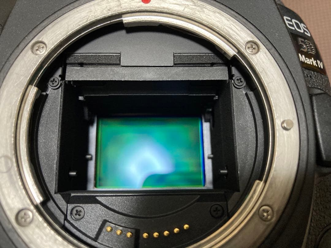 ぱ*照様 Canon EOS 5D Mark Ⅳ