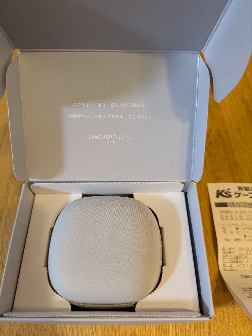 LAM DASH PALM IN LITE 本体 未使用新品保証付