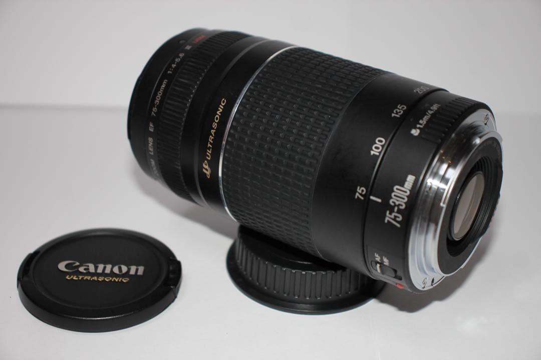 ☆フード付☆CANON EF 75-300mm F4-5.6 III USM☆