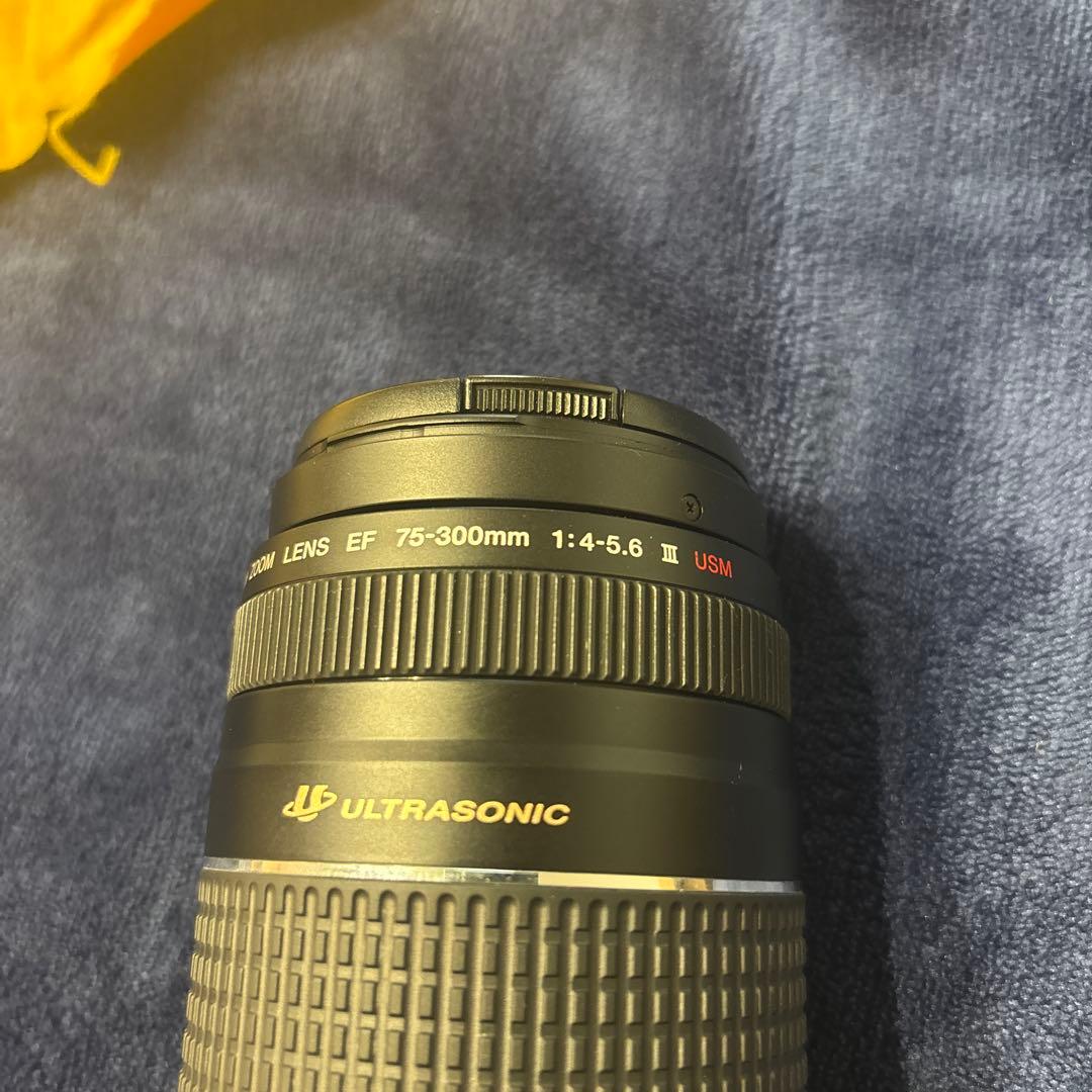 Canon EF 75-300㎜ 1:4-5.6Ⅲ USM ズームレンズ