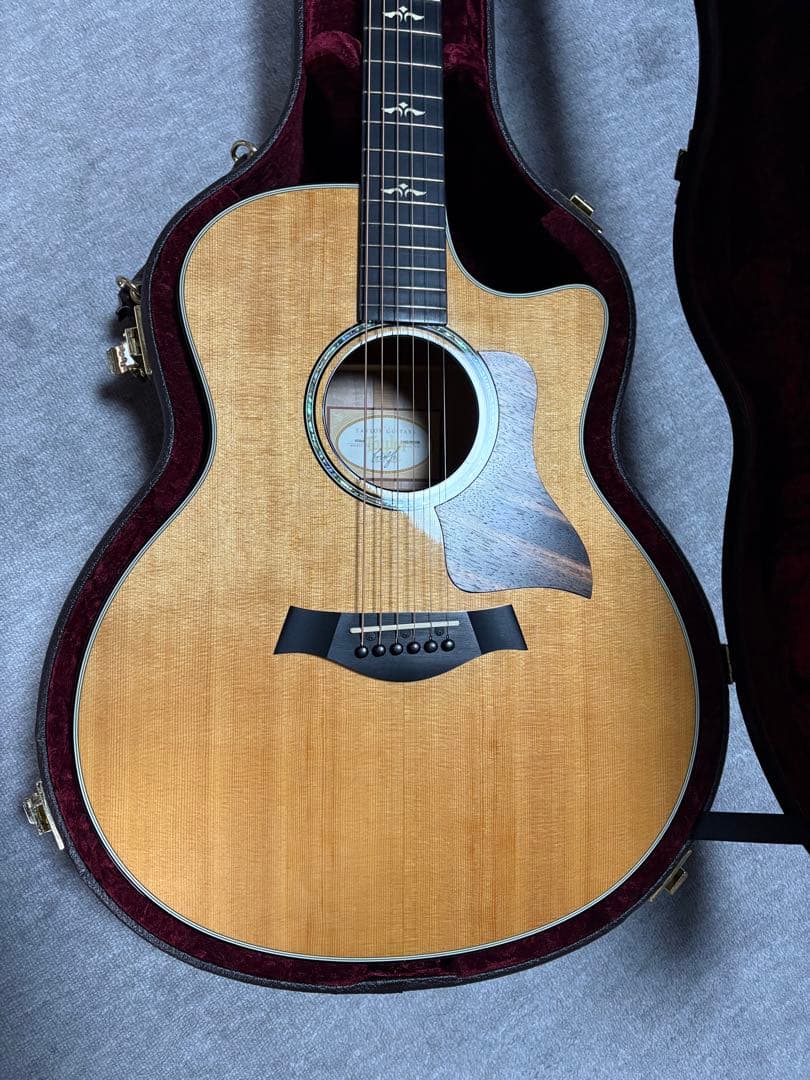 蒲焼き様、専用。Taylor 616ce アコースティックギター ハードケース付