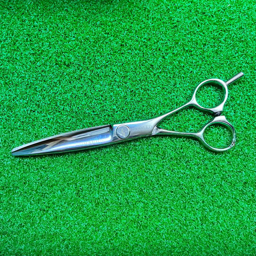 SUCCEED(サクシード) 6.1サンドラ