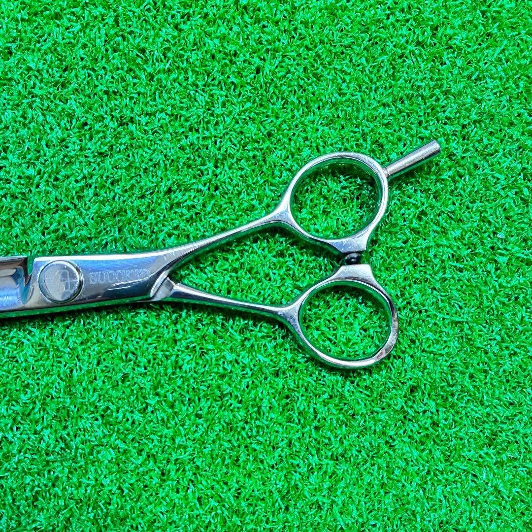 SUCCEED(サクシード) 6.1サンドラ