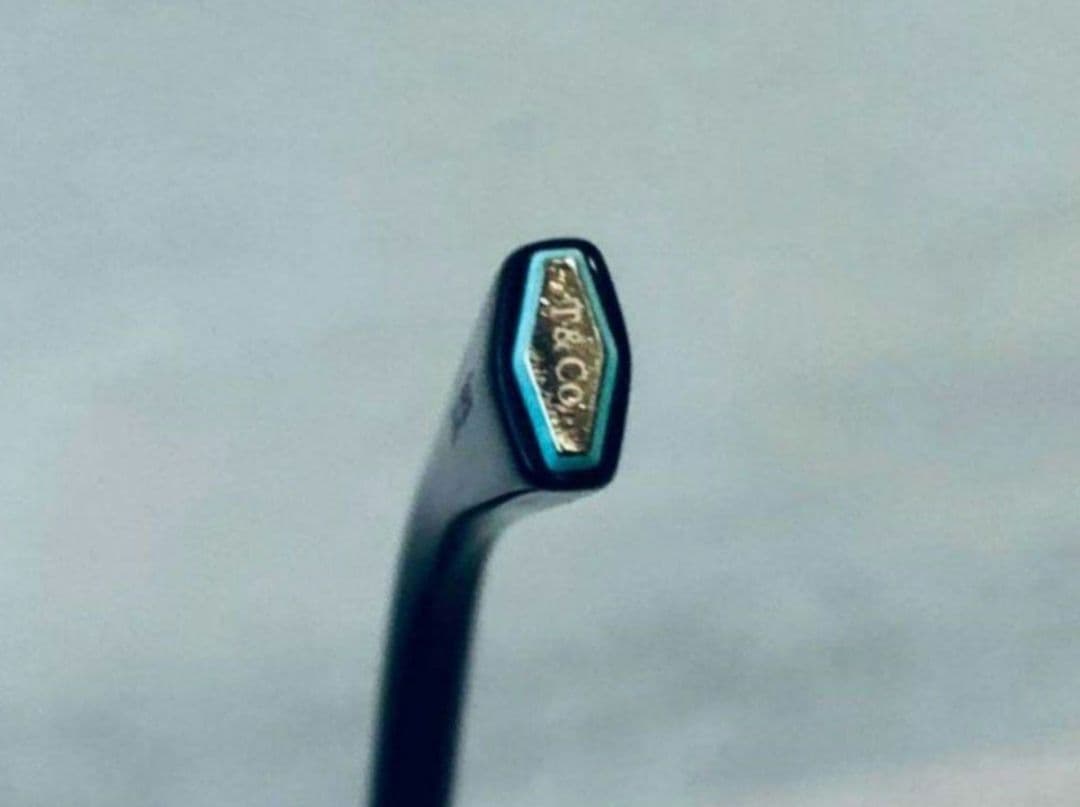 定価6万ティファニー青Tiffany&Coサングラス眼鏡メガネめがね国内正規品