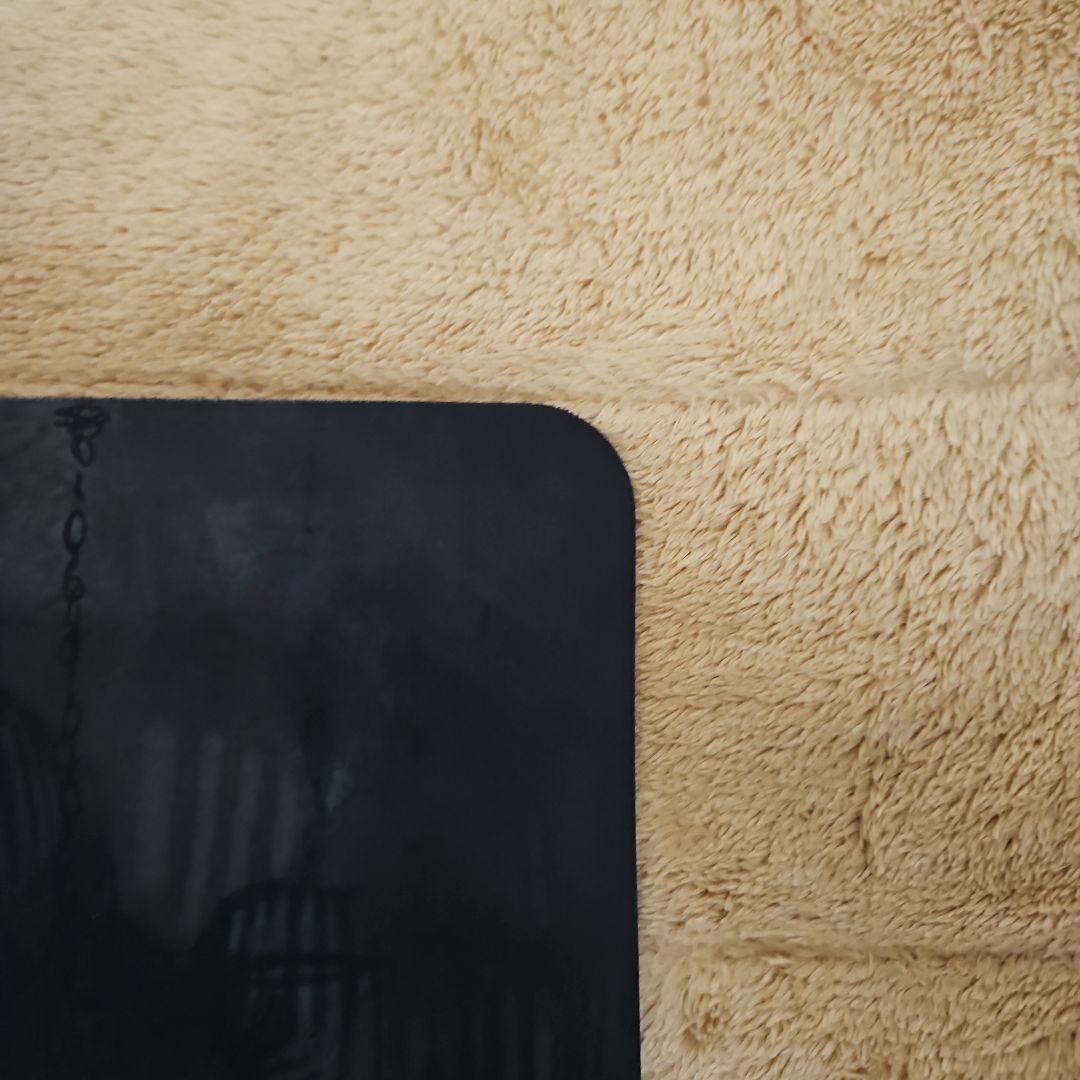 mtg　秘密を掘り下げる者　プレイマット　昆虫の逸脱者　サイン入り