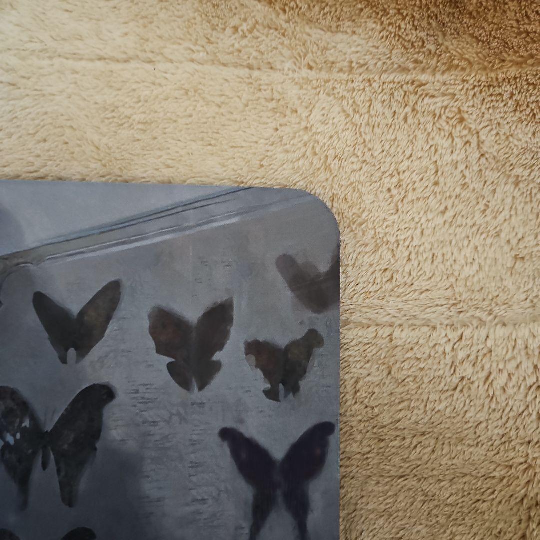 mtg　秘密を掘り下げる者　プレイマット　昆虫の逸脱者　サイン入り