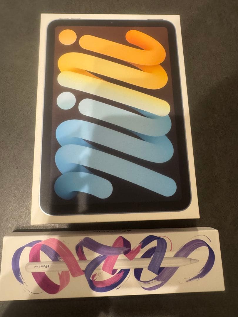 iPad mini セルラー 256 ブルー pencil pro AC＋加入