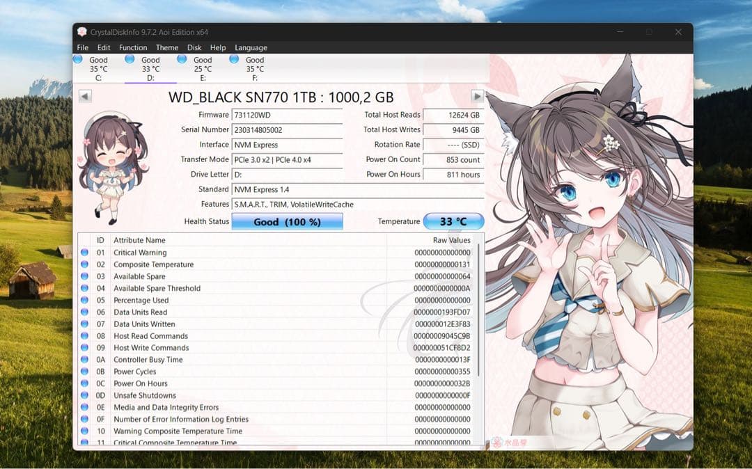 内蔵型SSD WD_BLACK SN770 1TB NVMe SSD