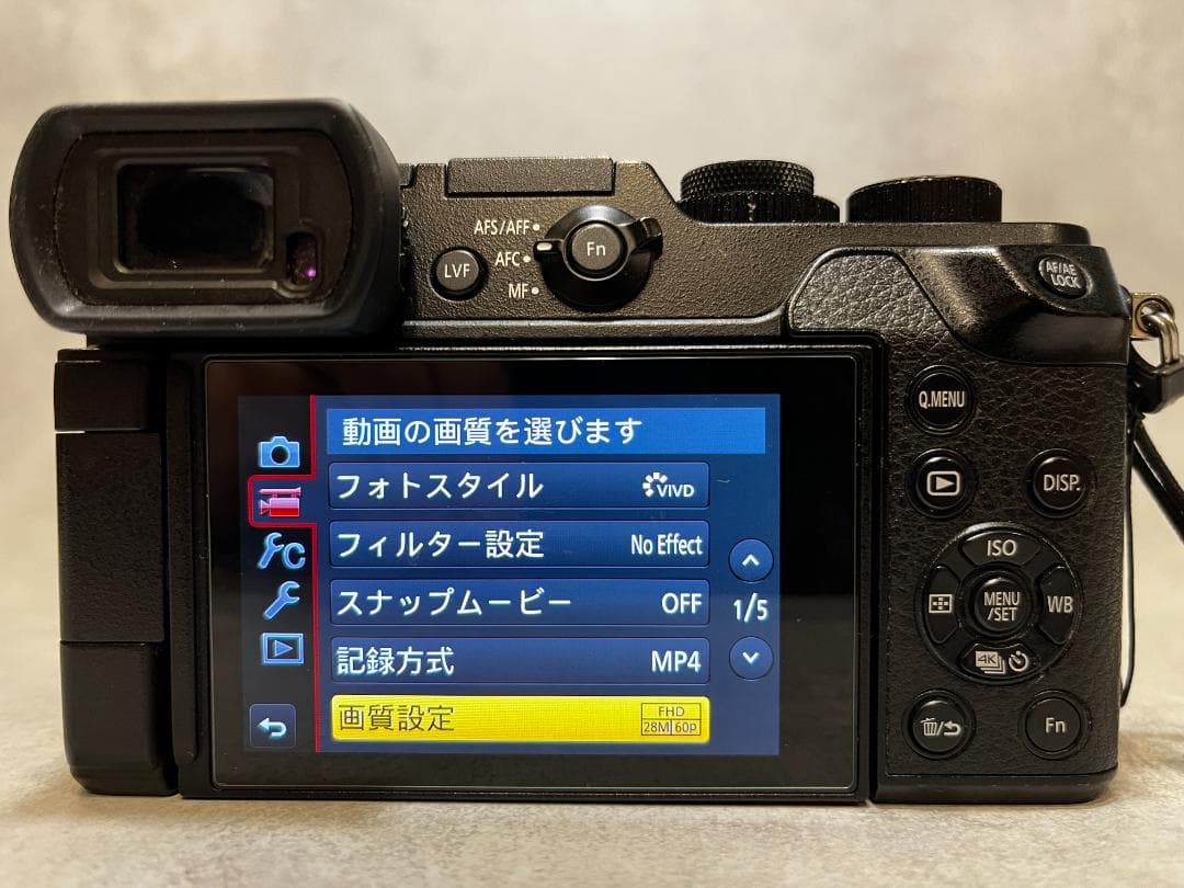 LUMIX GX8 レンズ2本セット