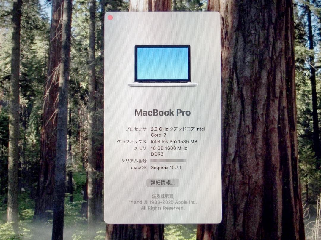 ☆美品 バッテリー弱 Apple MacBook Pro 2015 15インチ☆