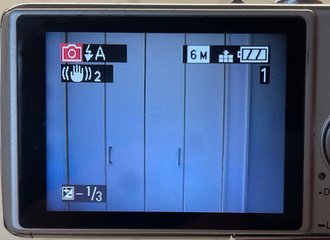 Panasonic デジカメ LUMIX DMC-FX01 バッテリー2個付き