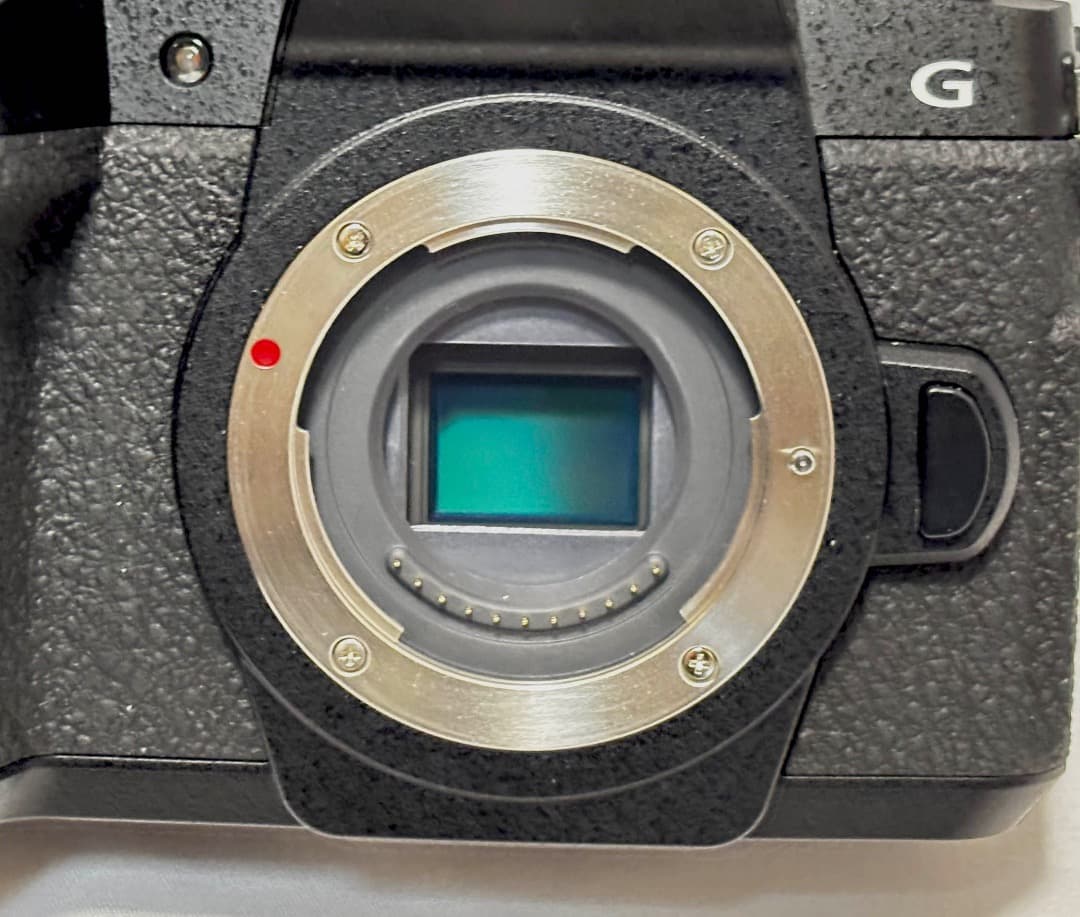 美品★Panasonic LUMIX DC-G99