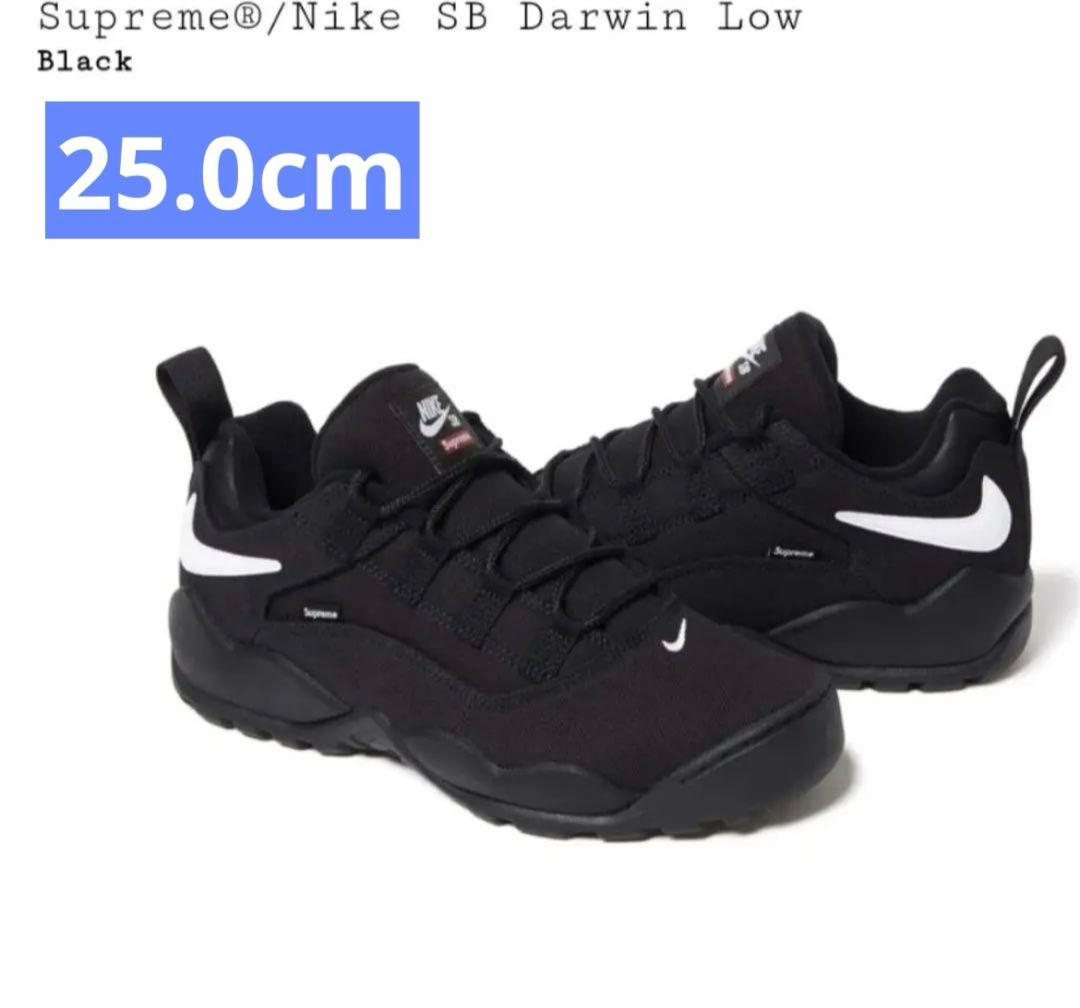 25cm Supreme × Nike SB Darwin Low シュプリーム