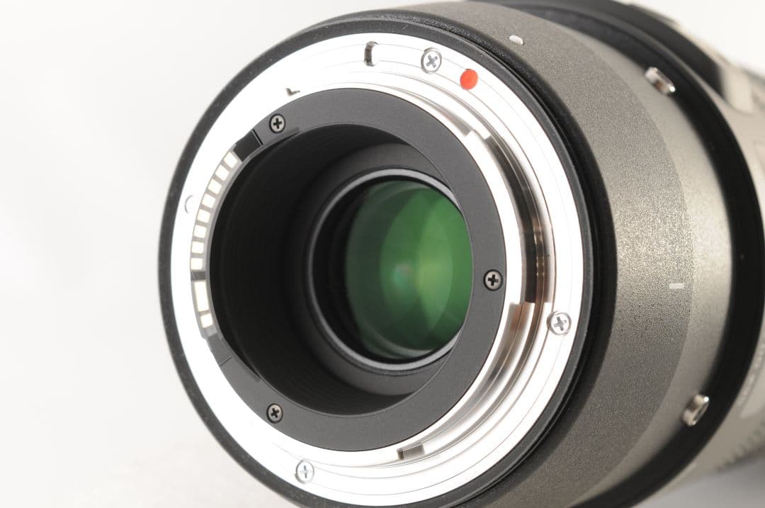 ★超望遠★ SIGMA 150-600mm F5-6.3 DG OS HSM