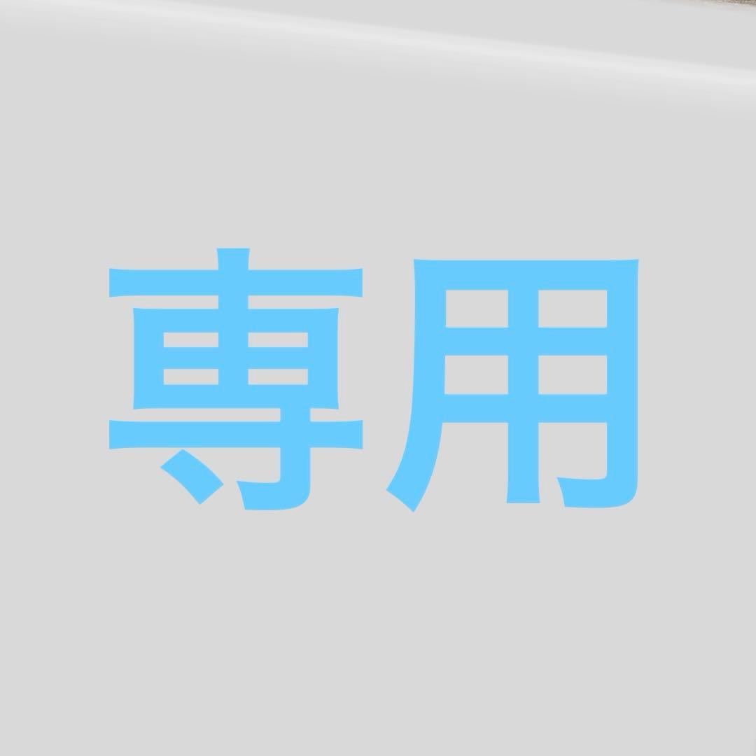 メガリザードンX ex ma 223/193