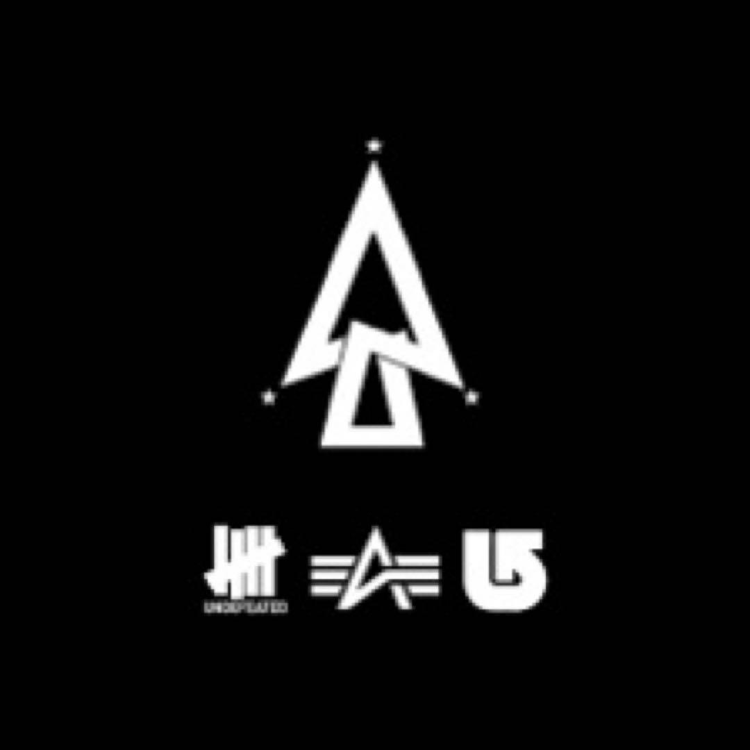 burton × alpha × undefeated スノーボード　ジャケット