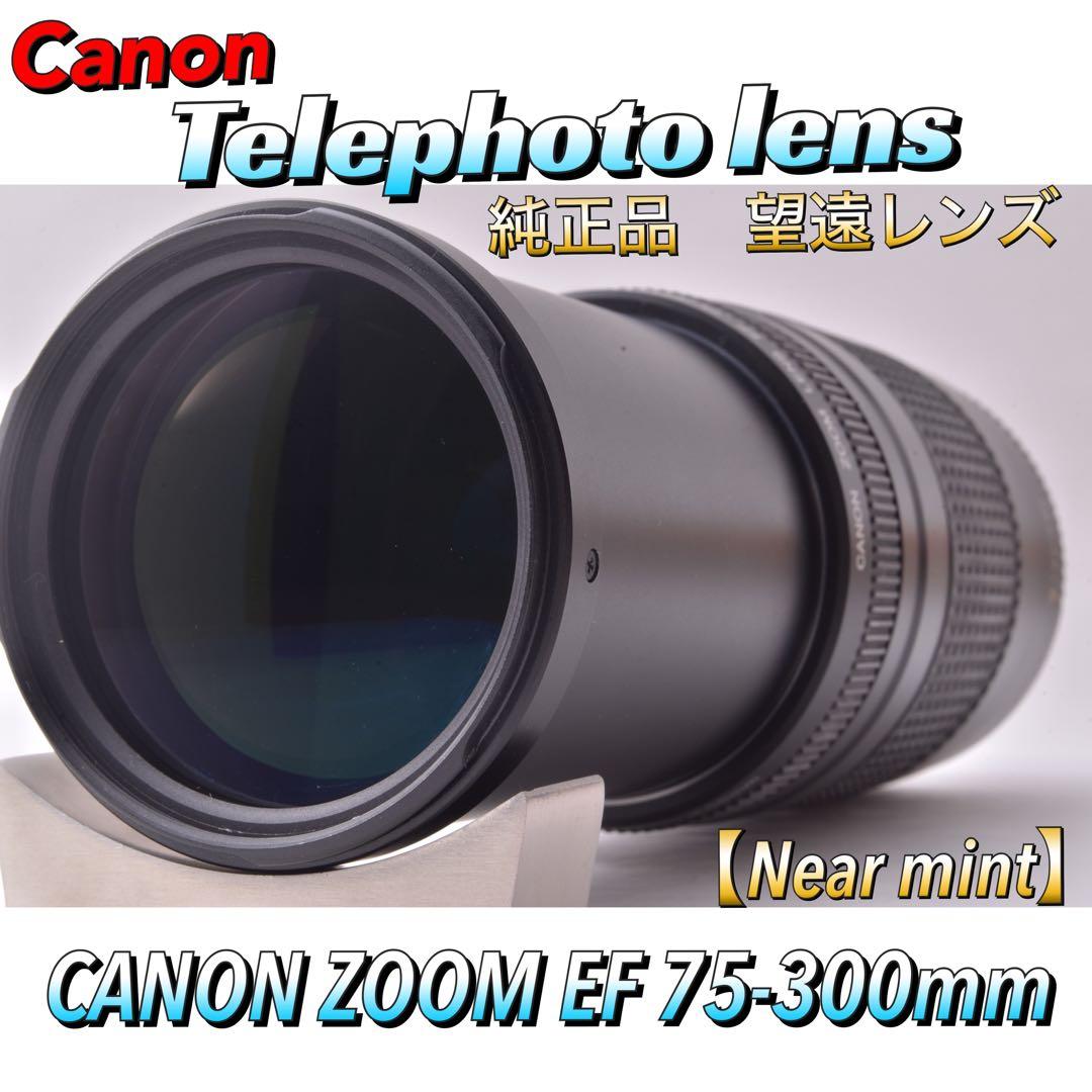 やるよ❤【感動の望遠レンズ】 キヤノン　Canon EF 75-300mm　2型
