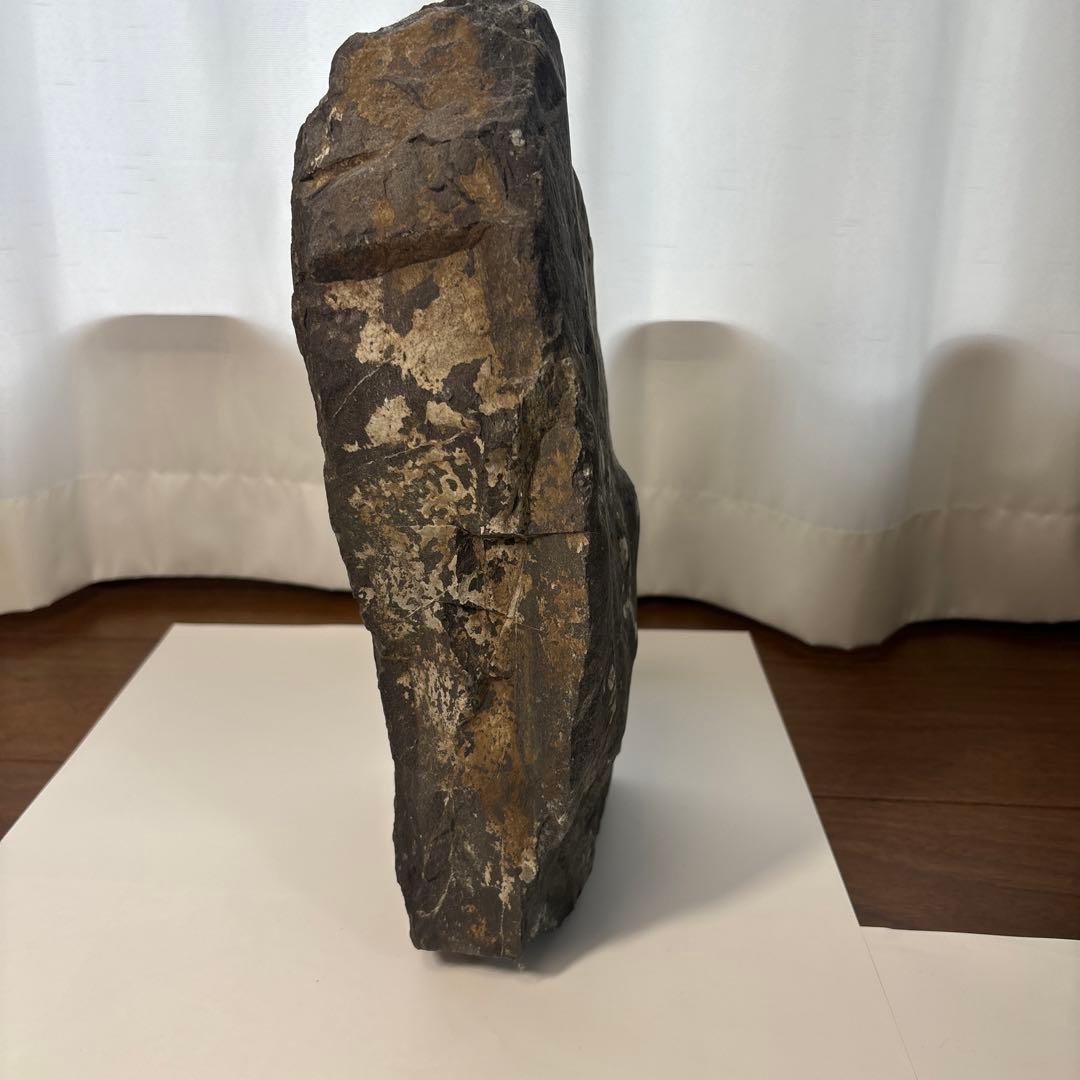 梅花石　高さ33センチ　鑑賞石　門司