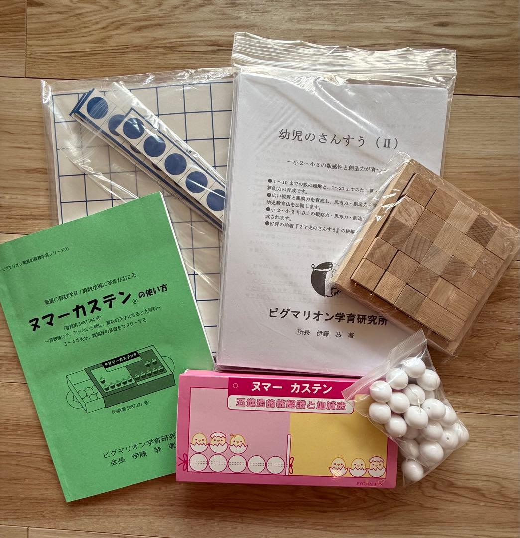 ピグマリオン学育研究所のヌマーカステン ウッディブロック他セット