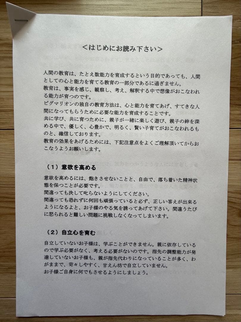 ピグマリオン学育研究所のヌマーカステン ウッディブロック他セット