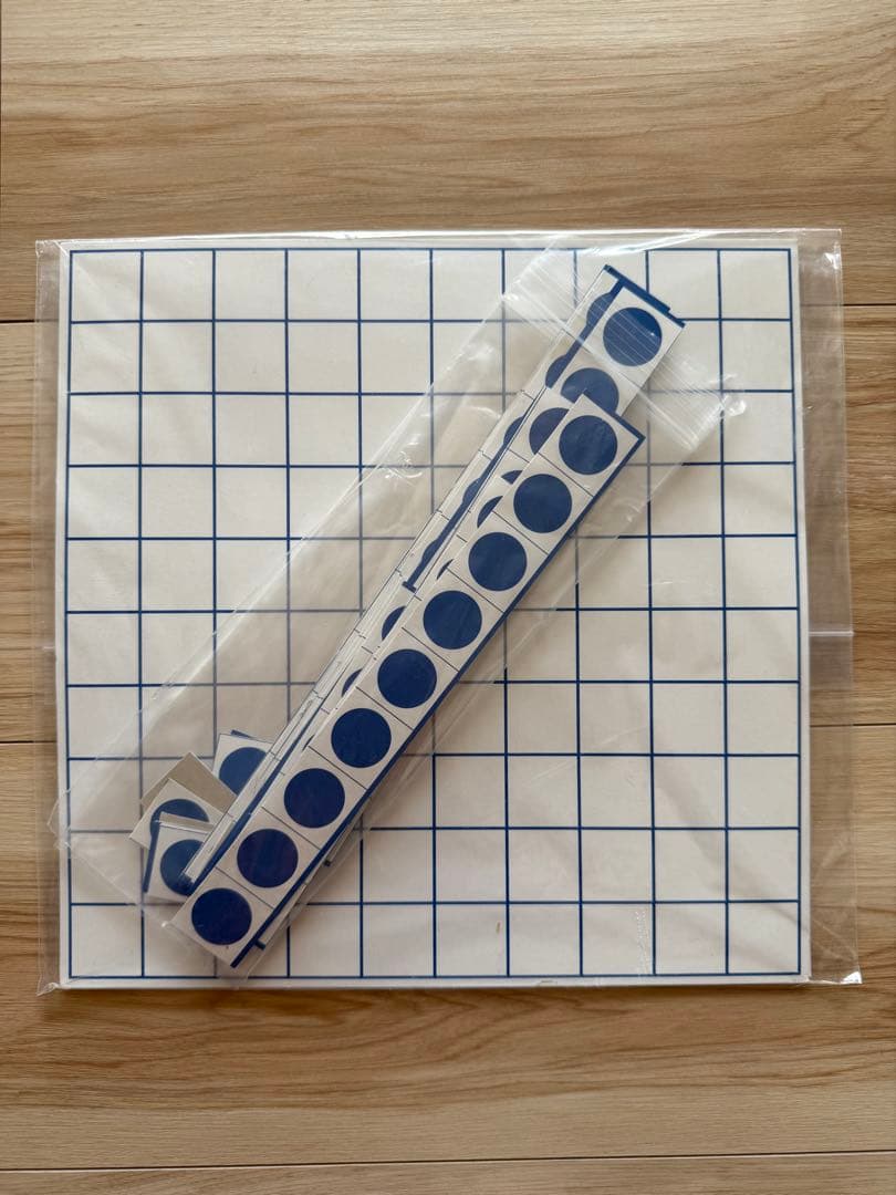 ピグマリオン学育研究所のヌマーカステン ウッディブロック他セット