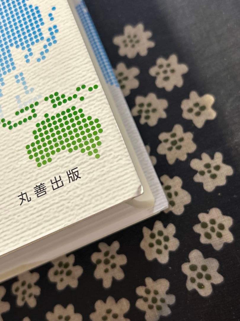 地理学事典 丸善出版