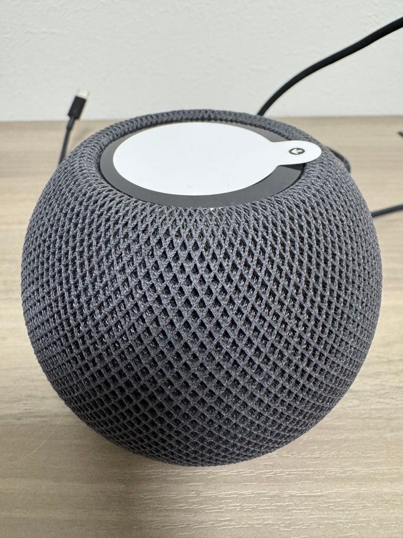 Apple Pod Mini スペースグレー