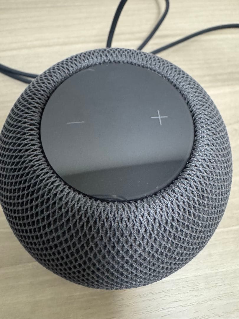 Apple Pod Mini スペースグレー