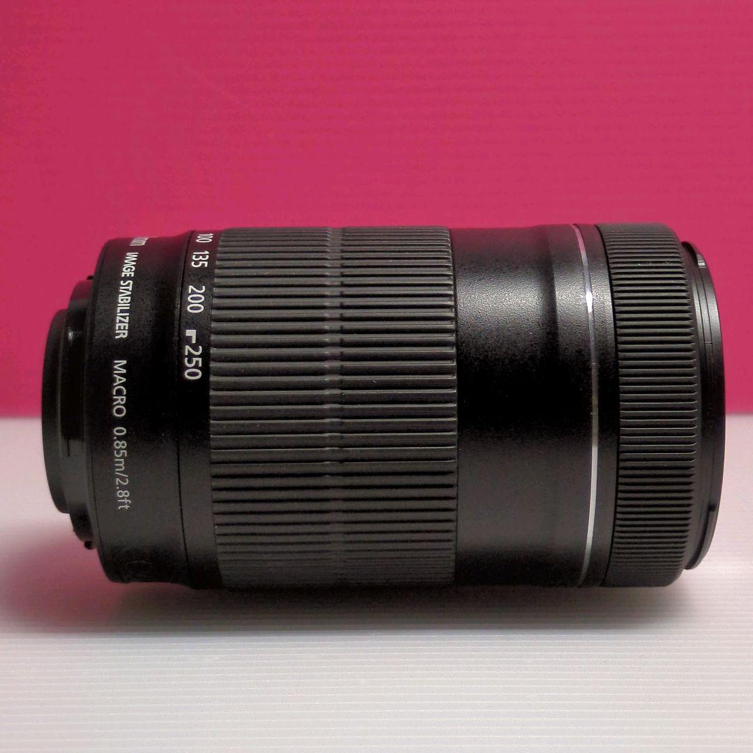 ★極美品★Canon EF-S 55-250mm F4-5.6 IS STM