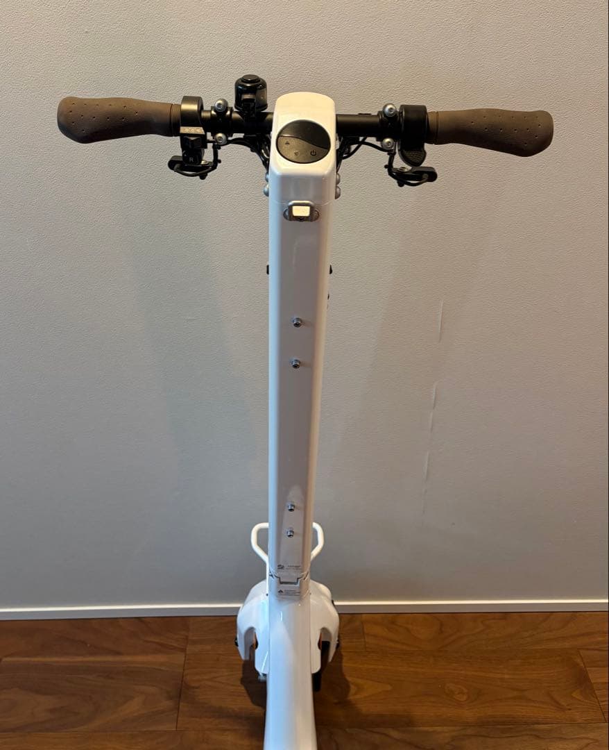 STRIEMO ストリーモ S01JT 電動 公道走行可 リアキャリア金具付属