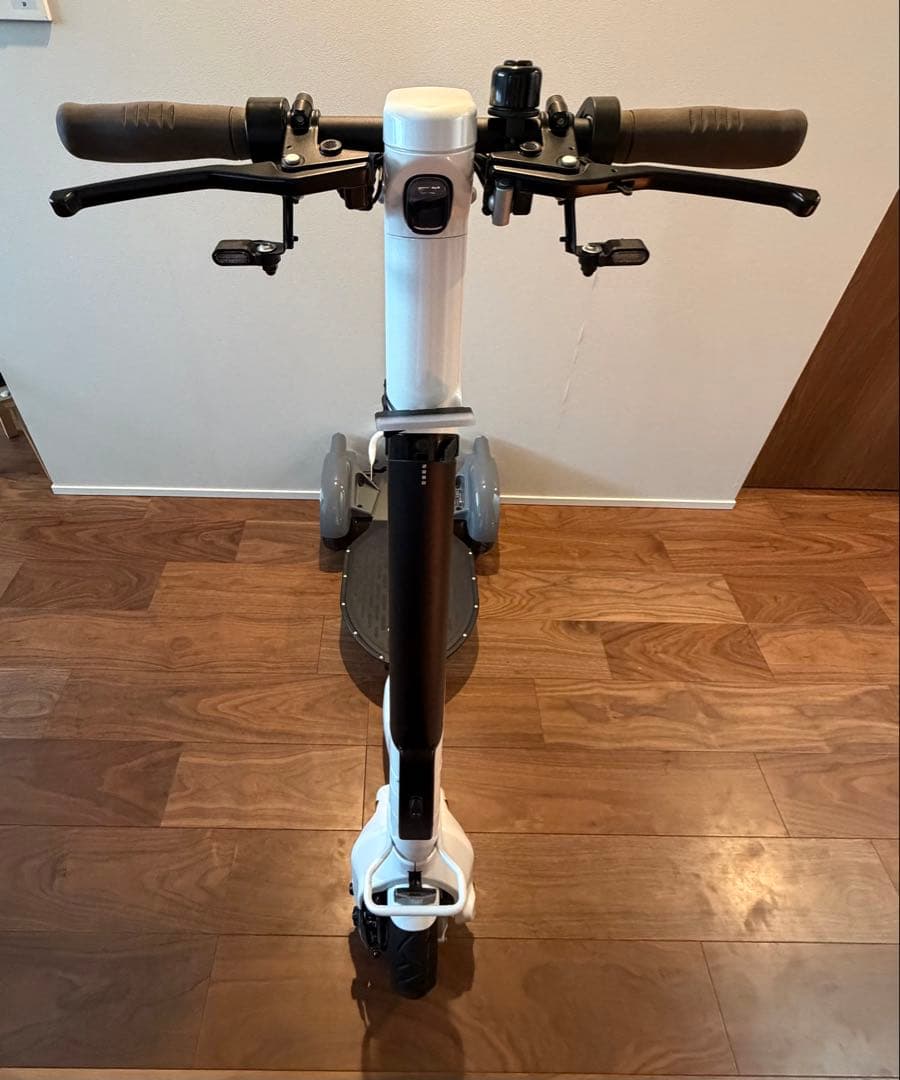 STRIEMO ストリーモ S01JT 電動 公道走行可 リアキャリア金具付属