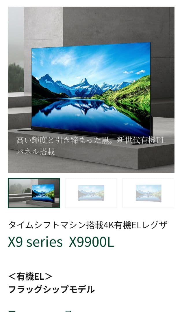 REGZA レクザ 有機ELテレビ 65X9900L 4K 東芝