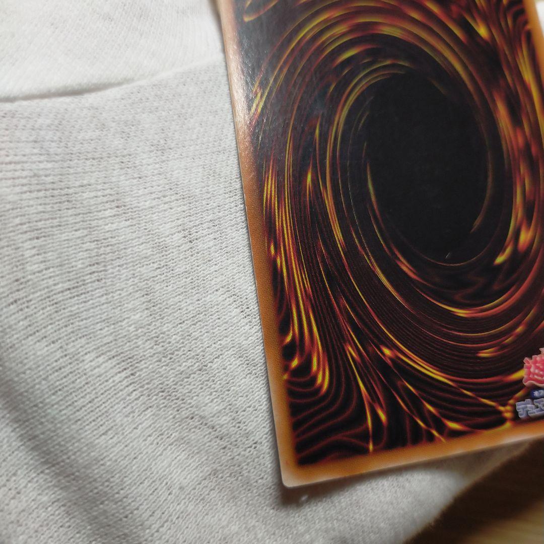 遊戯王 ブラック・パラディン レリーフ