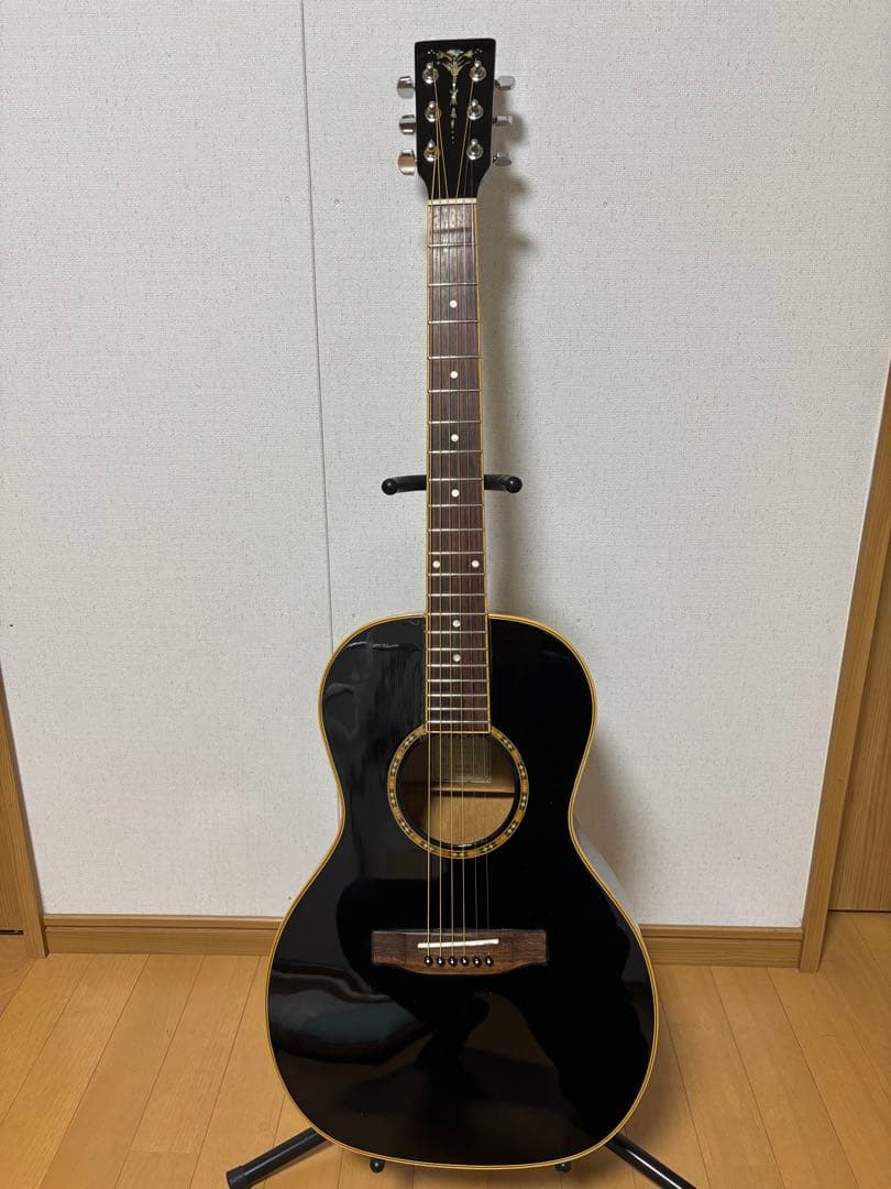 専用‼️‼️訳アリ❗️ARIA ADL−01 BK パーラータイプ　調整済‼️