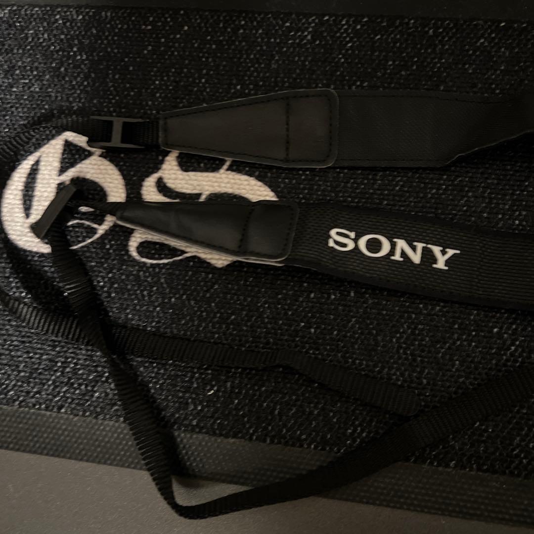 【みゆ】α6000 レンズキット（ILCE-6000）ミラーレス一眼カメラ