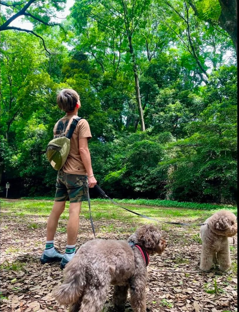 エアマックス95 27cm 錦鯉 新品未使用 airmax95 木村拓哉