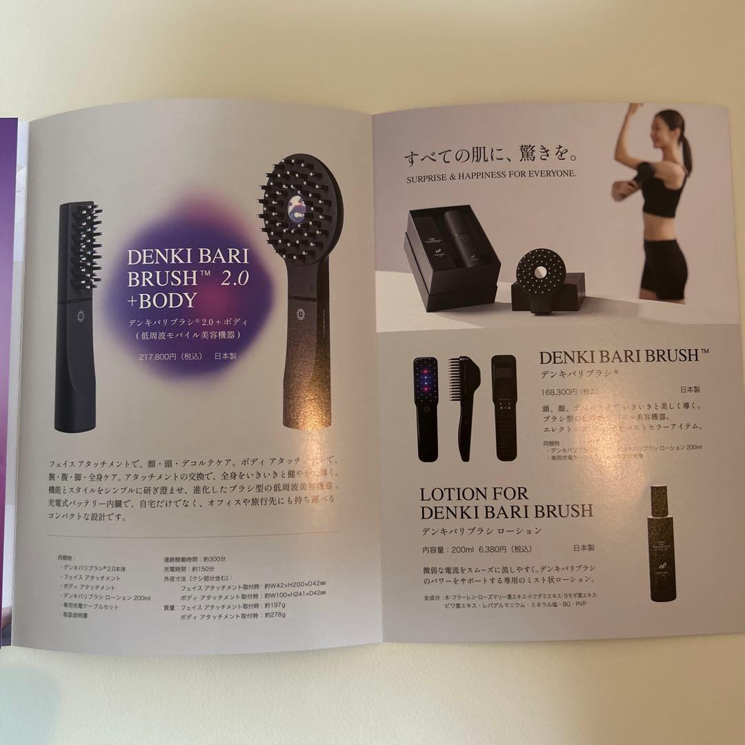 デンキバリブラシ2.0+ボディ(電気バリブラシ)