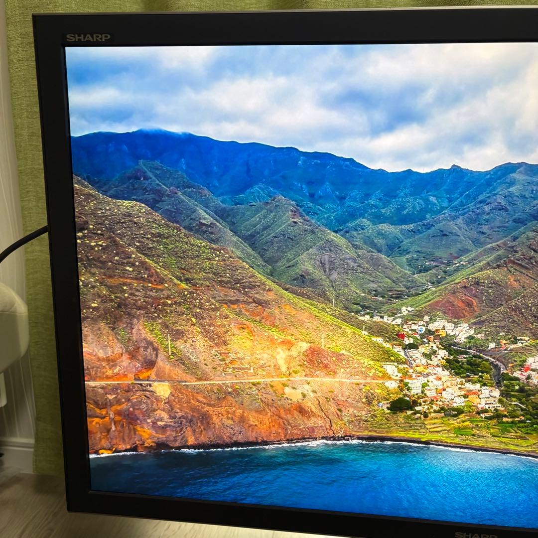 SHARP　シャープ　IGZO 4K対応　モニター　32V型　PN-K321