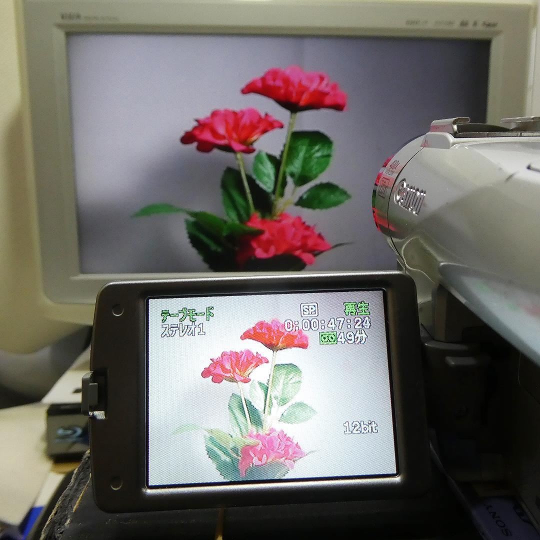 動作良好 キャノン DM-FV M200 MiniDVビデオ DVDダビングに