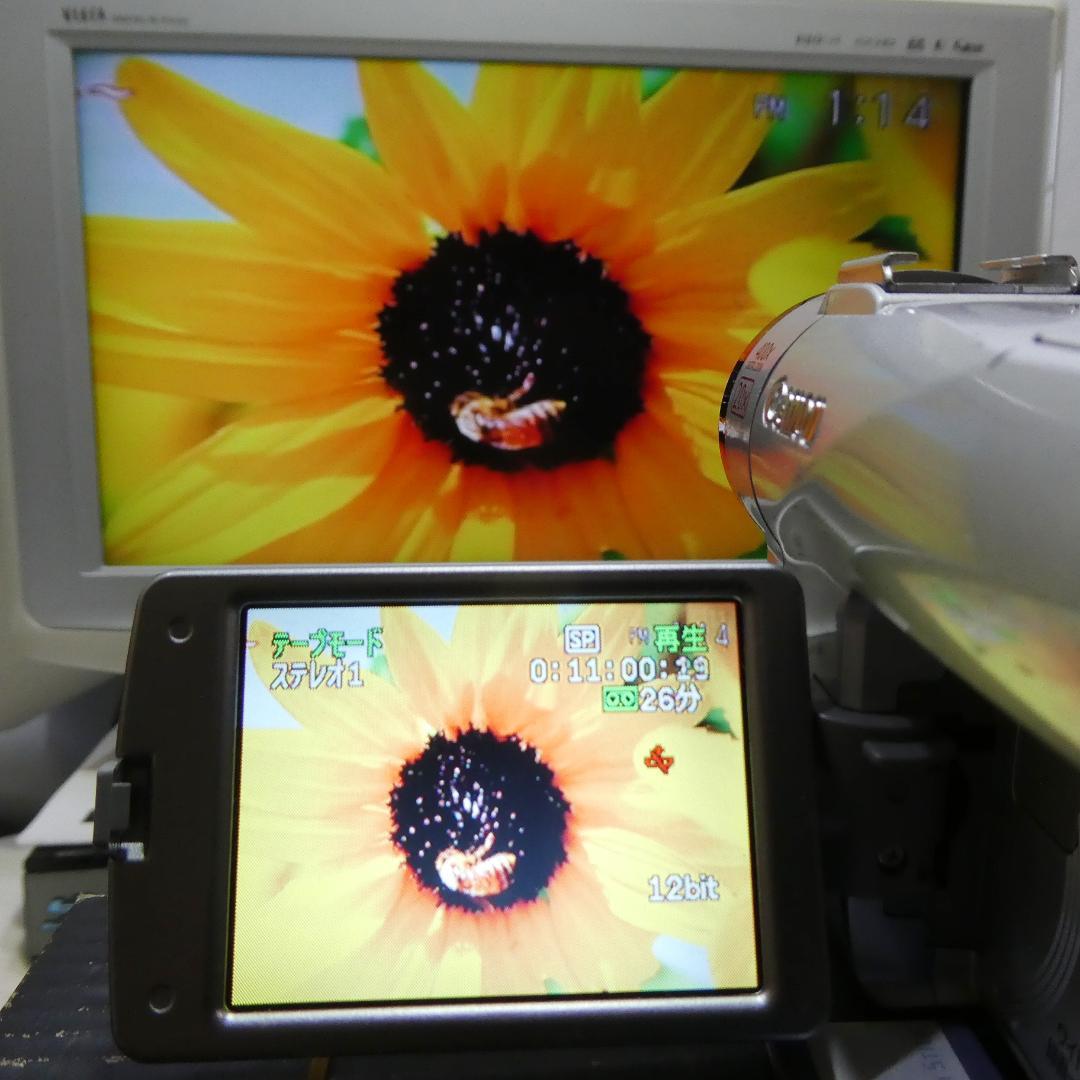 動作良好 キャノン DM-FV M200 MiniDVビデオ DVDダビングに