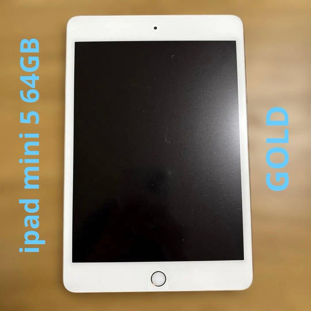 iPad mini 5 ゴールド 本体　バッテリー最大容量90％