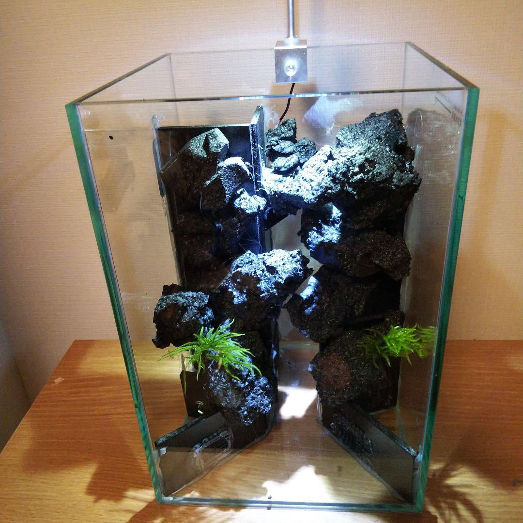 【完成品】滝の流れるアクアテラリウム　イモリウム　苔　　アクアテラリウム完成品