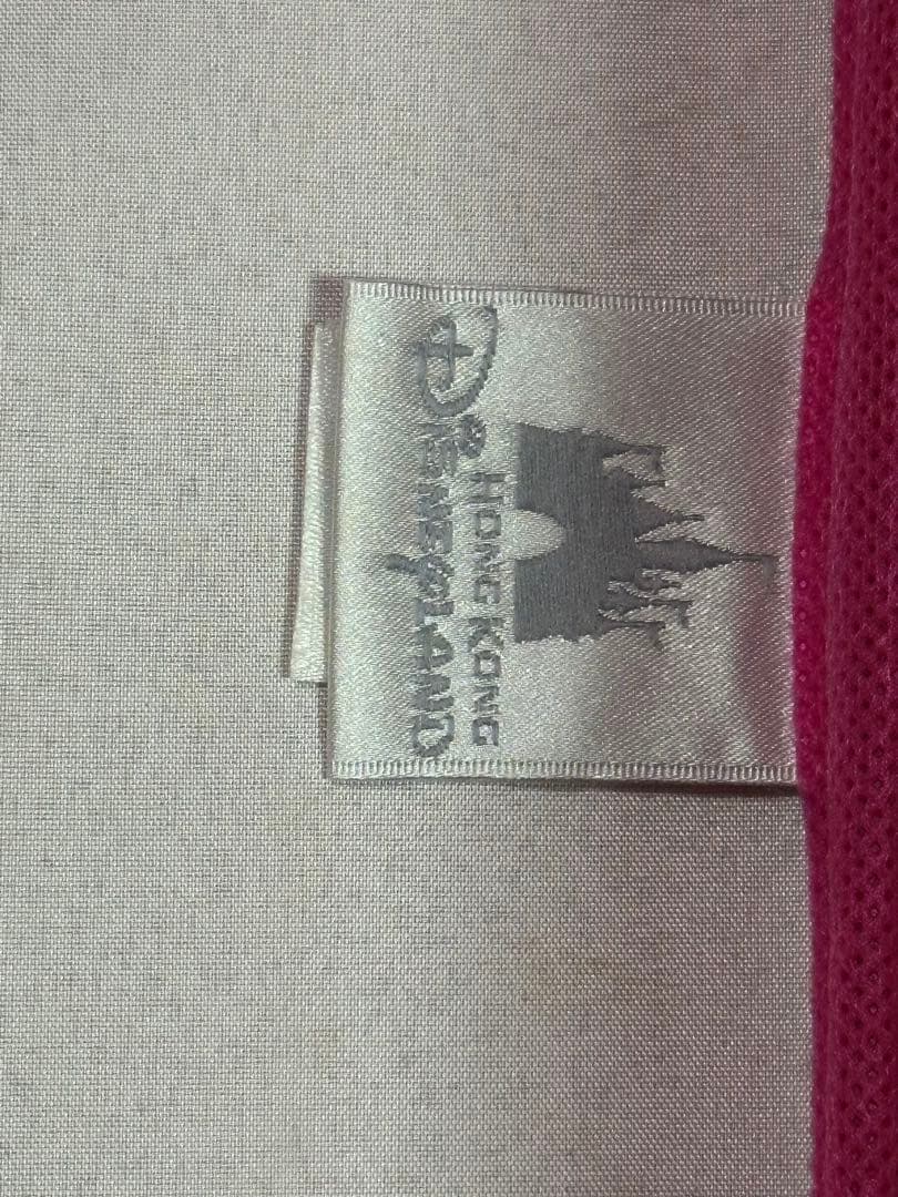 半額以下★ 美品 ★ キャリー 姉妹 セット 香港 ディズニーランド ミニー