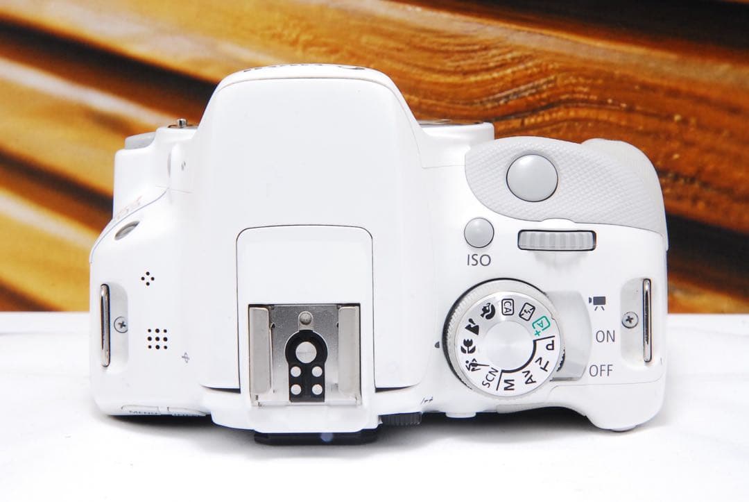 人気のホワイト！ Canon EOS kiss X7 スマホ転送 STMレンズ