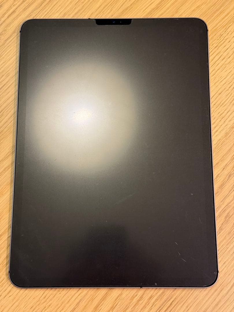 iPad Pro 11インチ (第2) 256GB WiFi+Cellular