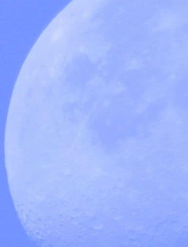 新品級 極上品 SIGMA テレコン付 APO 170-500mm F5-6.3