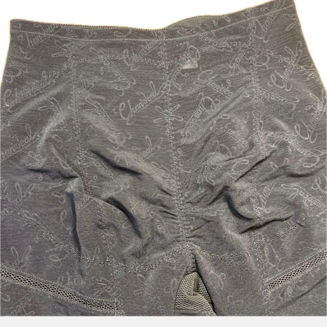 シャンデール　ロングガードル　76 補正下着