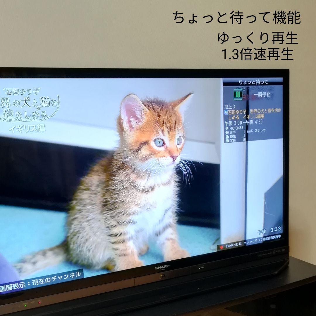 【ゆーまさん専用】Blu-ray& HDD内蔵　液晶テレビ