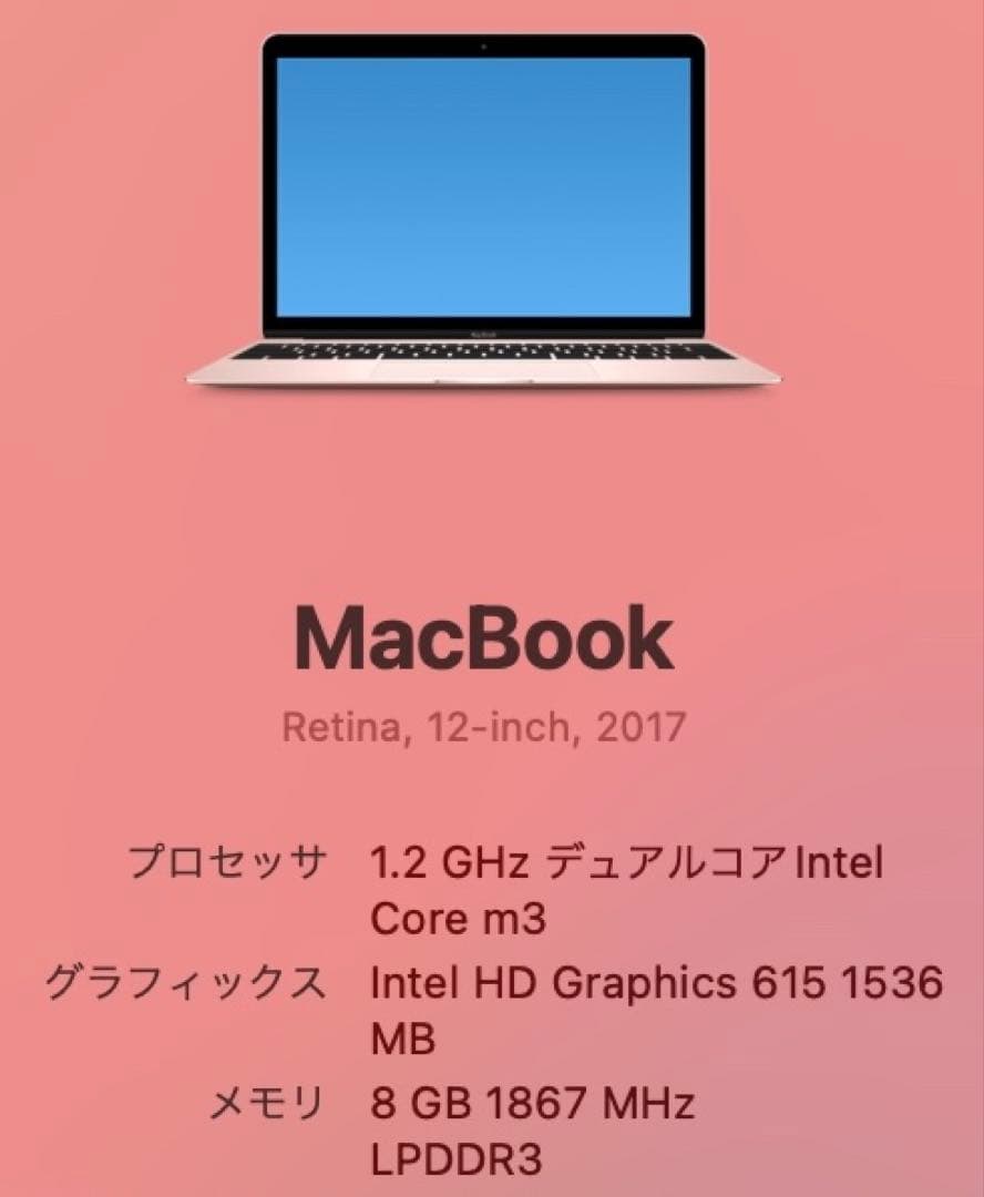 ななみ様 Apple MacBook 12インチ 2017 ローズゴールド